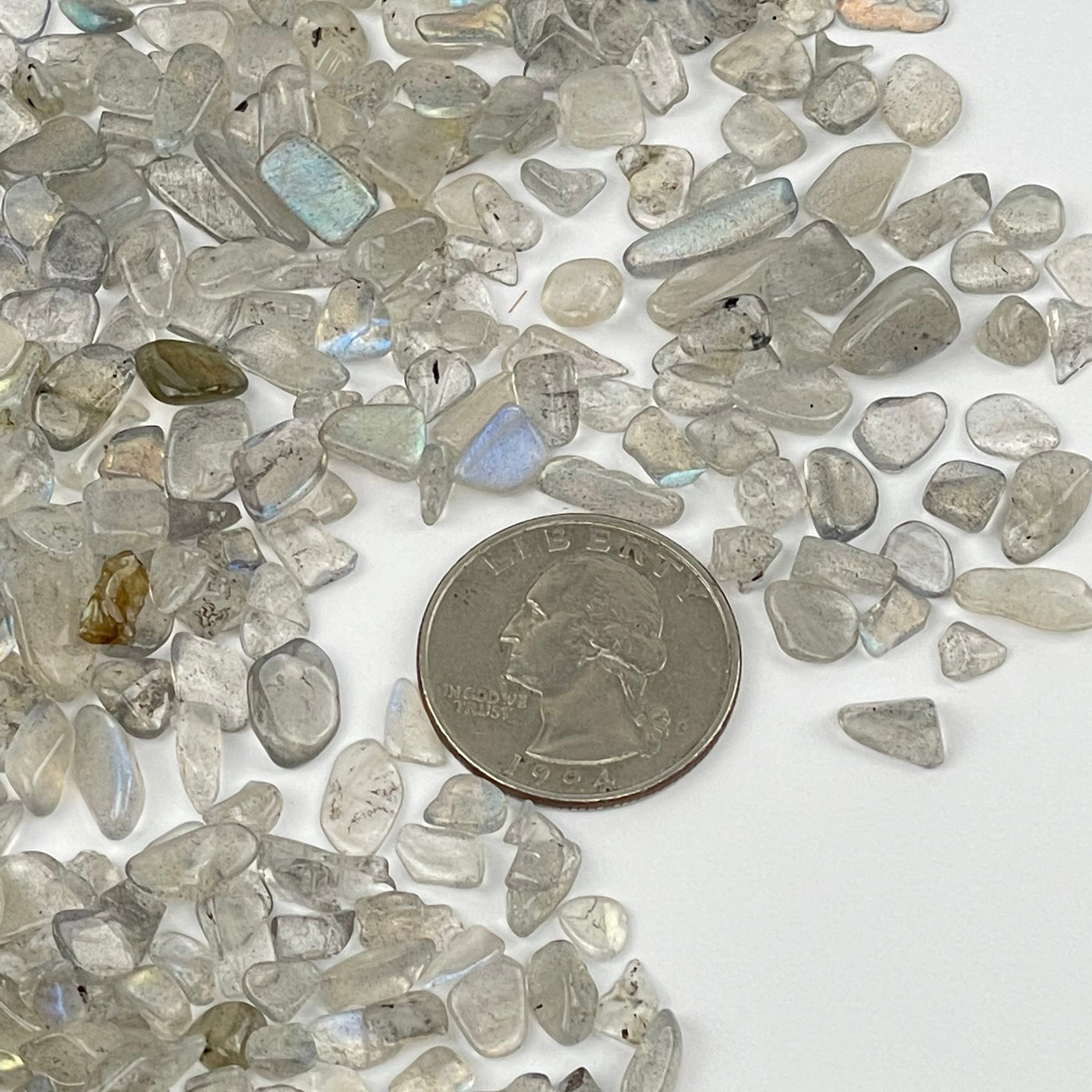 Labradorite Tumbled Chips next to a quarter for size reference 