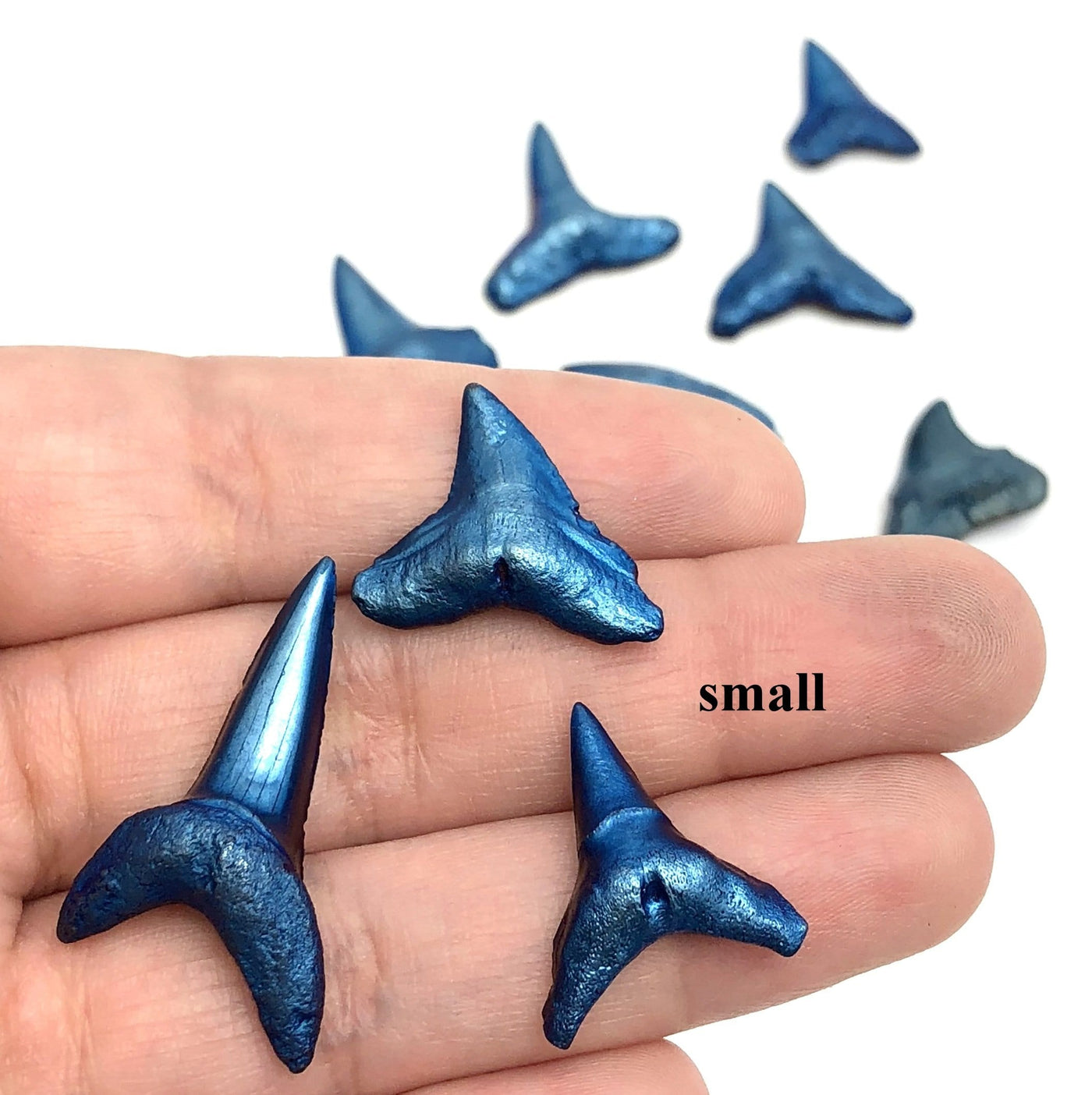 Hand holding up 3 small titanium shark teeth with others in the background