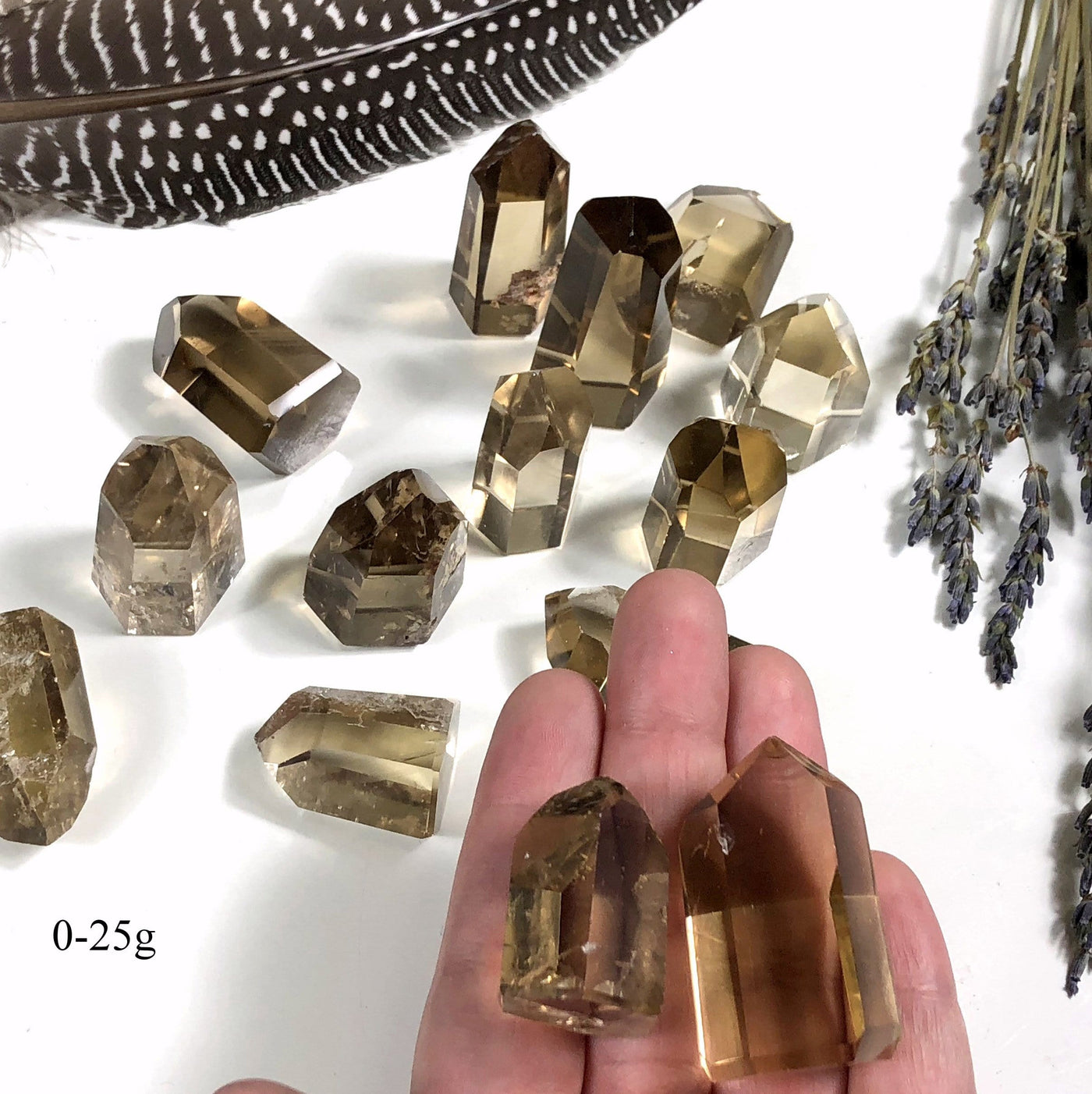 Polished Natural Citrine Points  (EX-101)