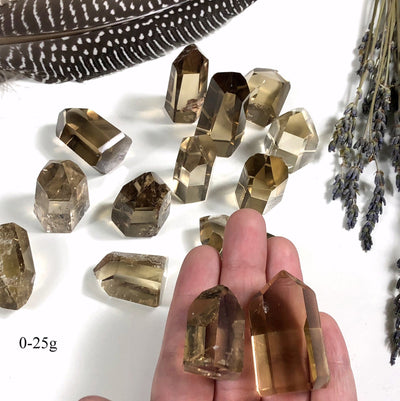 Polished Natural Citrine Points  (EX-101)