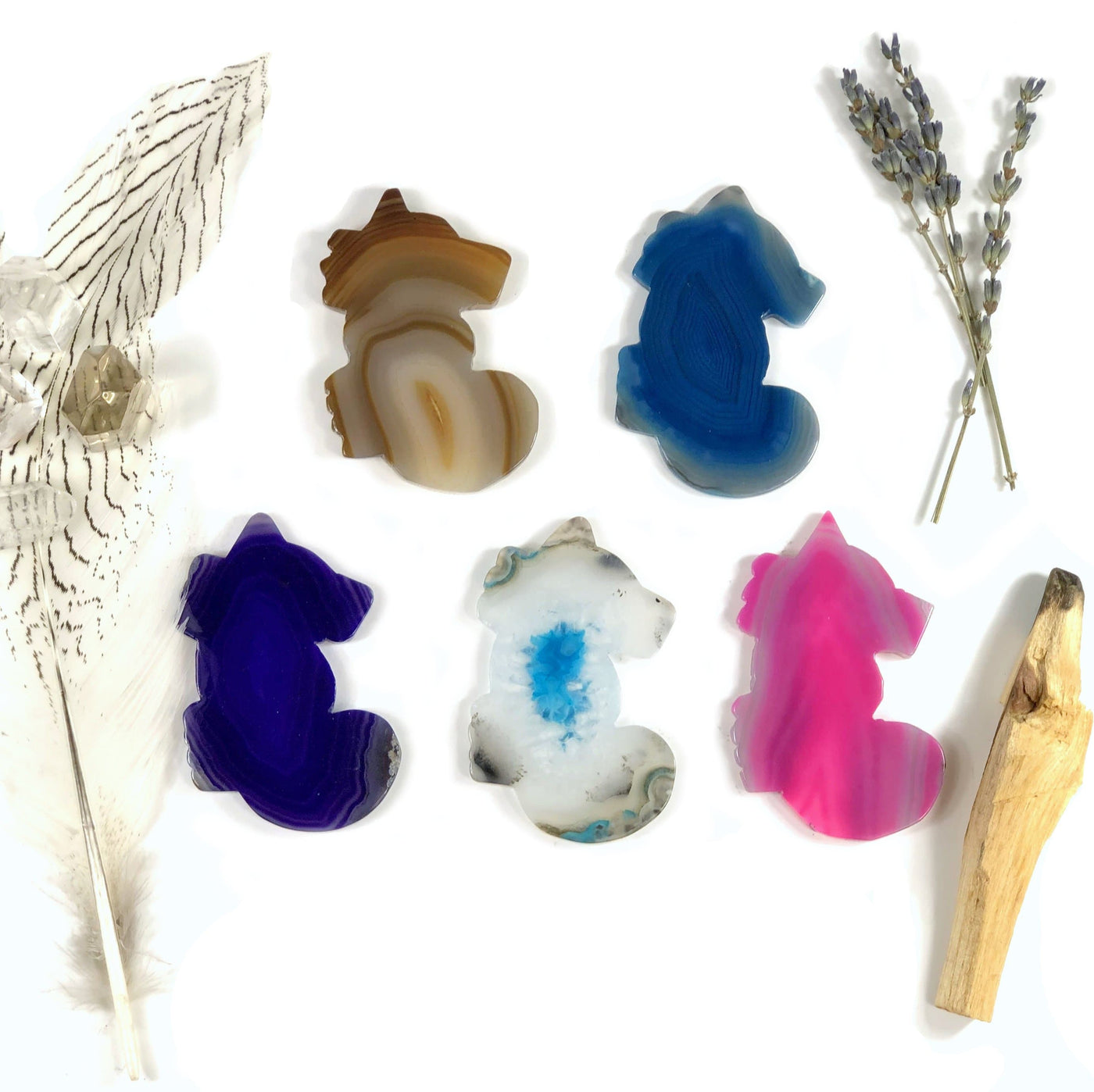 This picture is showing all the variety of colors we have available for our agate slice seahorses, displayed on a white back ground.  