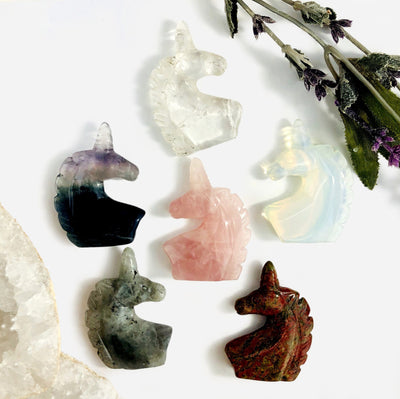 6 Assorted Gemstones Unicorn Head Crystal Carvings