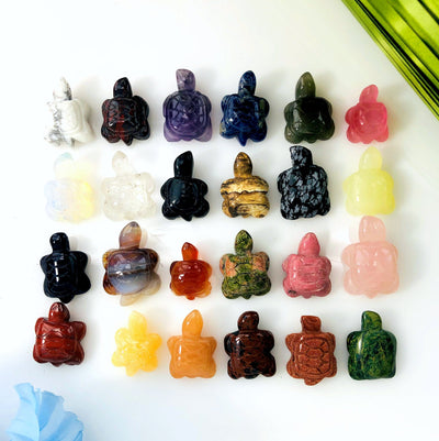 24 Small Assorted Turtle Gemstone Cabochons