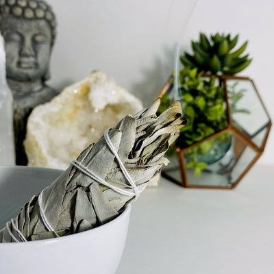 White Sage Stick pictured in a bowl, tip is smoking.