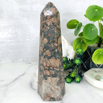 Front shot of Rhyolite Polished Tower, the Rhyolite tower is being displayed on a marbled background, next to a green natural plant.