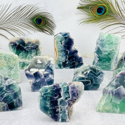 multiple Fluorite Cut Base Chunks displayed on white background showing various patterns colors of greens purples white yellow hues shapes heights widths