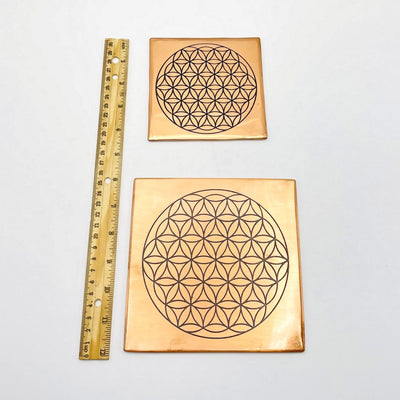 large and small copper grids displayed next to a ruler on a white background