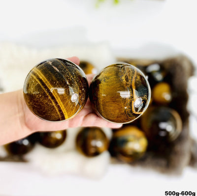 Tigers Eye Polished Spheres-Top view of large size and details on hand. 