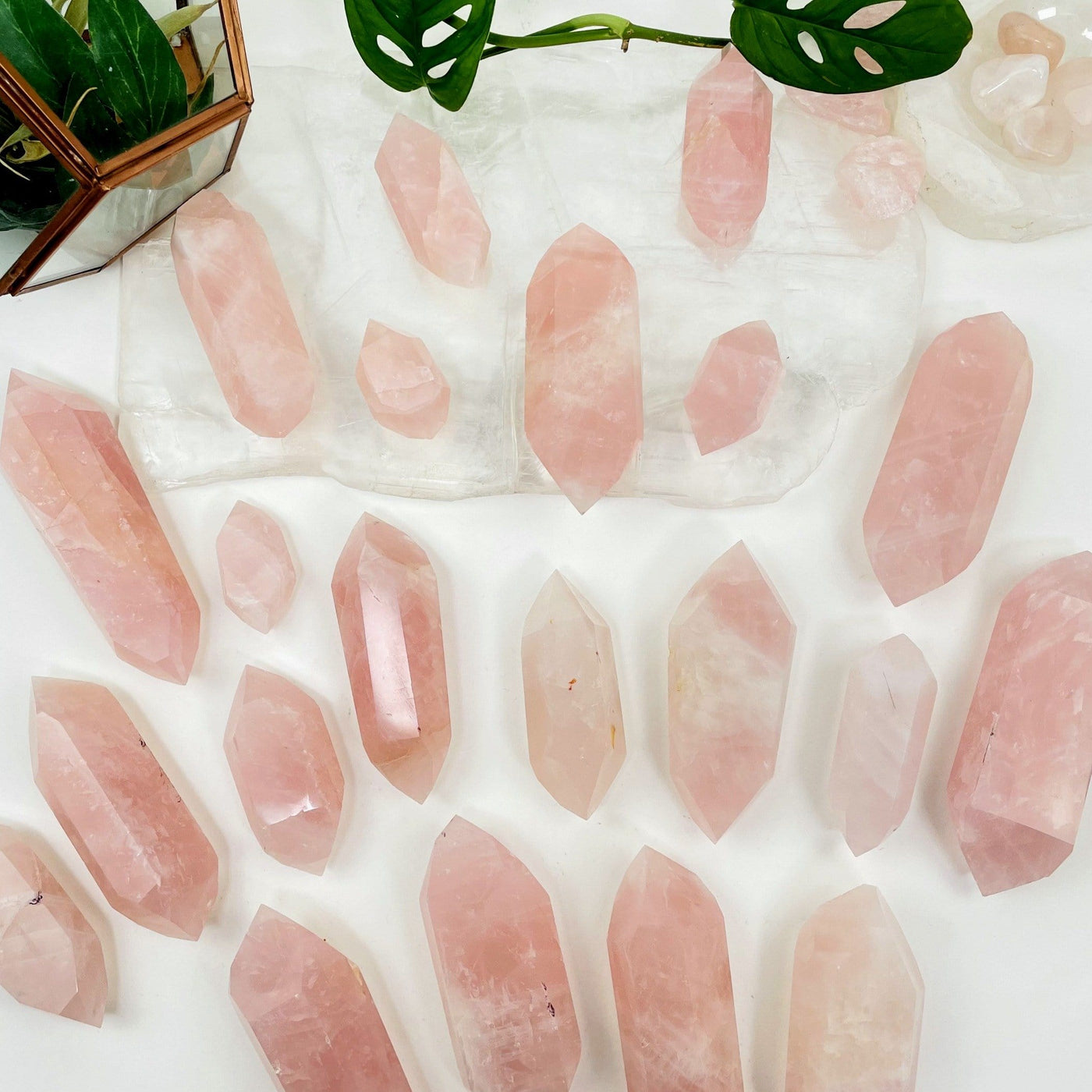 Rose Quartz Double Terminated Points scattered on white background with plants
