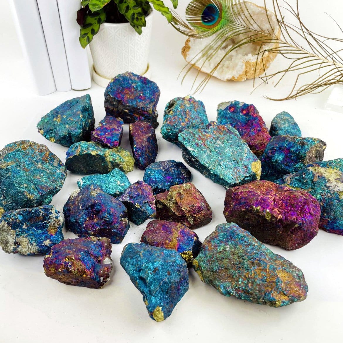 Assorted sizes of peacock ore rough stones on a white background.  They are a metallic shade of pinks, blues, and purples.