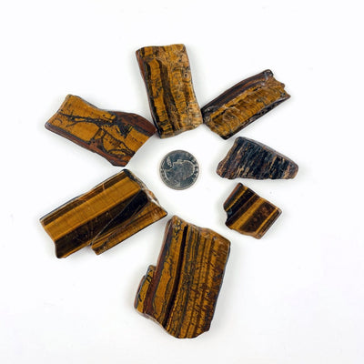 Tigers Eye Polished Slabs around a quarter showing different sizes