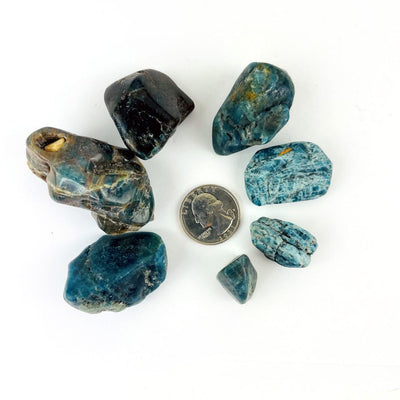 Natural Blue Apatite stones of different sizes around a quarter for size reference
