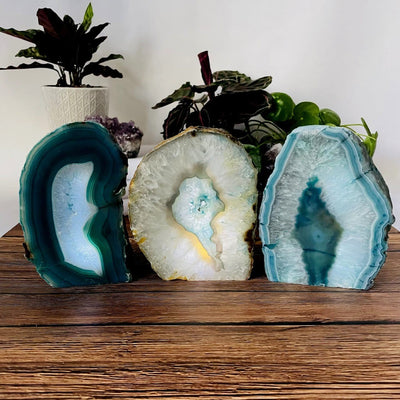 Three front facing agate lamps on a dark colored surface   with plants in the background.