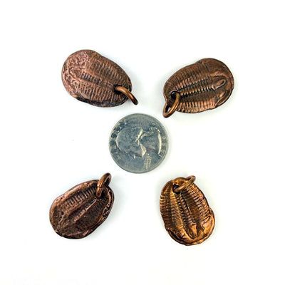 4 Copper Trilobites Pendants around a quarter for size reference