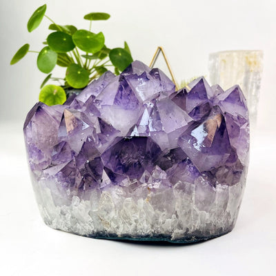 Amethyst Crystal Cluster  - Large Gorgeous Crystals with Polished Sides from side view