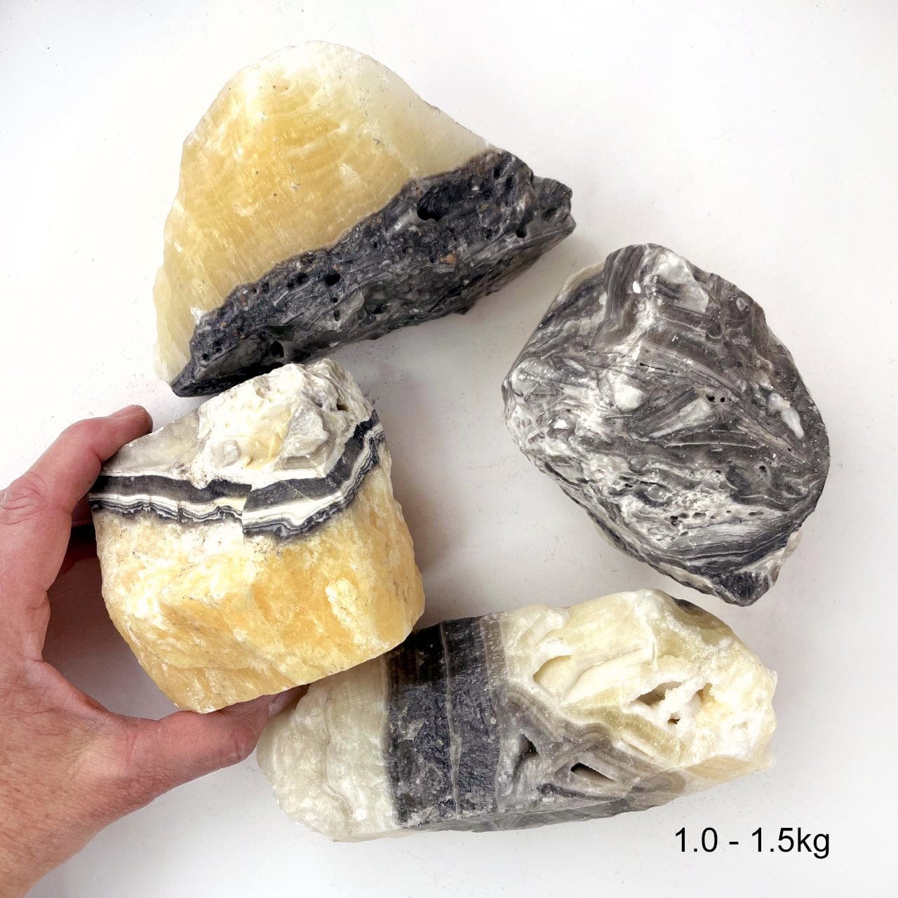 Mexican Onyx Rough Stone Chunks in the size 1.0-1.5 kilos, with one in a hand for size reference