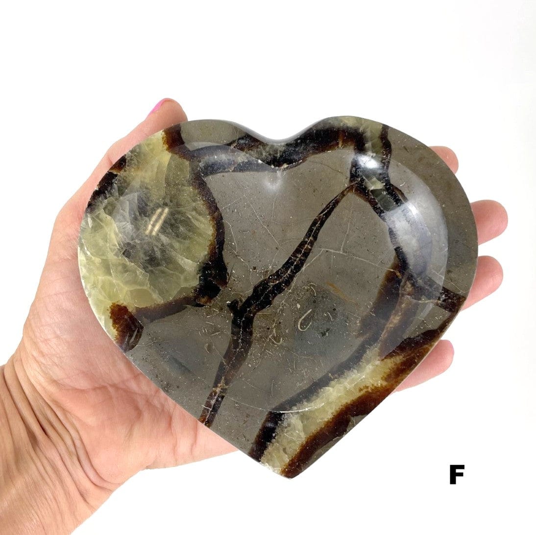 Septarian Heart Bowl - Polished Stone Dish #F in hand for size reference and formation differences