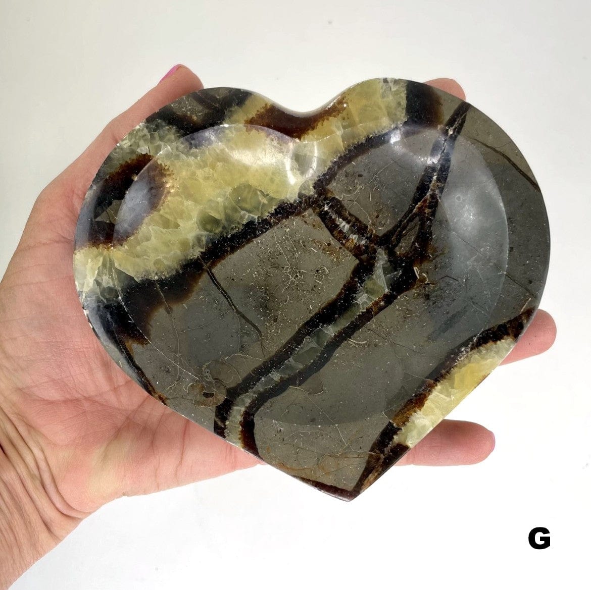Septarian Heart Bowl - Polished Stone Dish #G in hand for size reference and formation differences