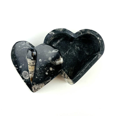 Orthoceras Fossil Heart Box with lid off to the side