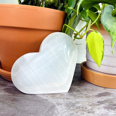 10 cm  Selenite Heart Shaped Stone  leaning against a pot
