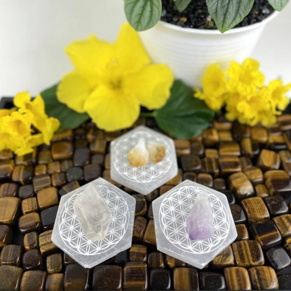 selenite hexagons engraved with flower of life with charging stones for approximate size reference