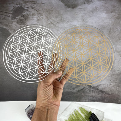 hand holding up Crystal Grid Flower of Life Acrylic Grid - 2 sided - White and Gold