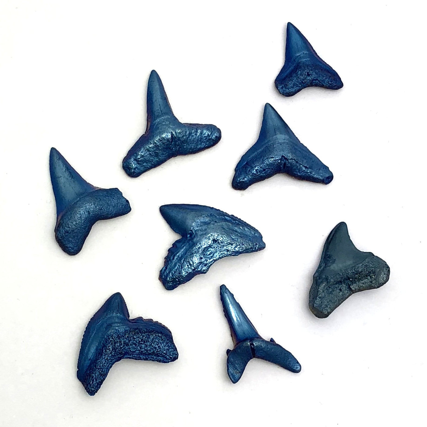 8 titanium shark teeth scattered on white background