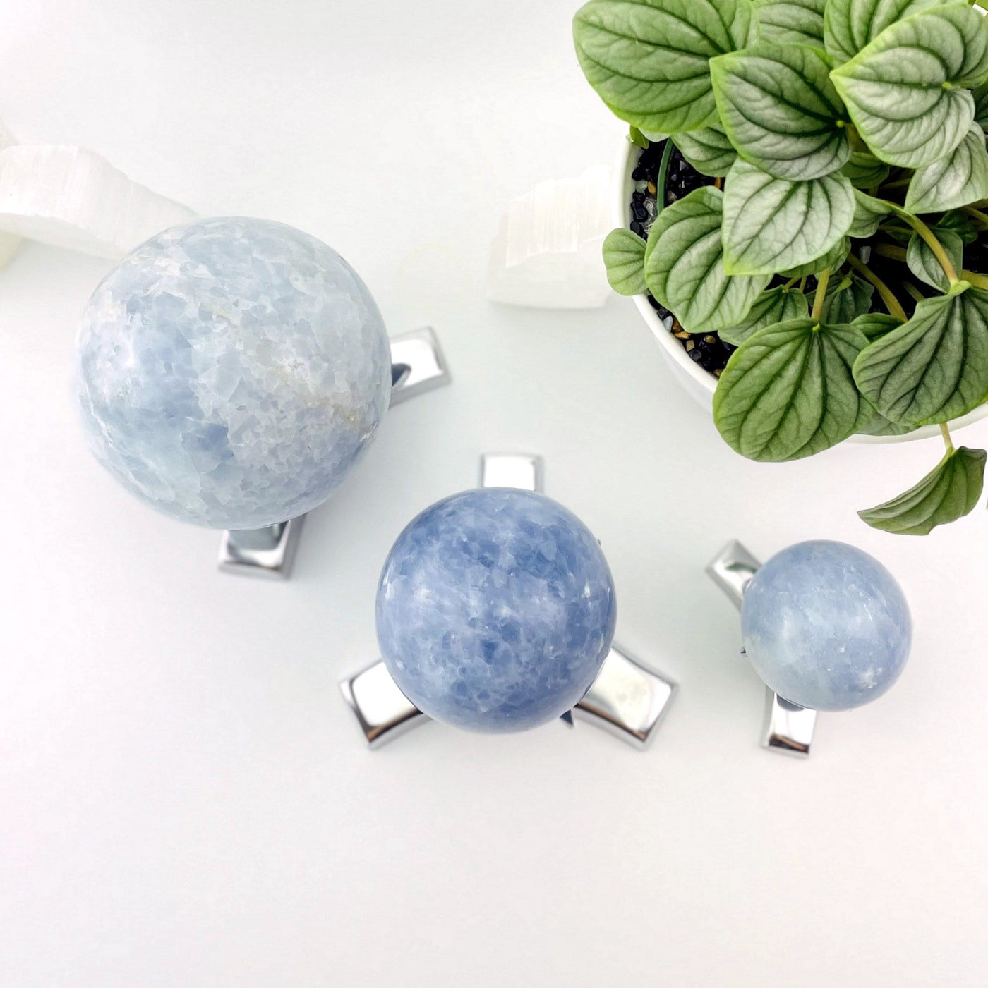 Overhead view of the three sizes of sphere stands with blue calcite crystals on them.
