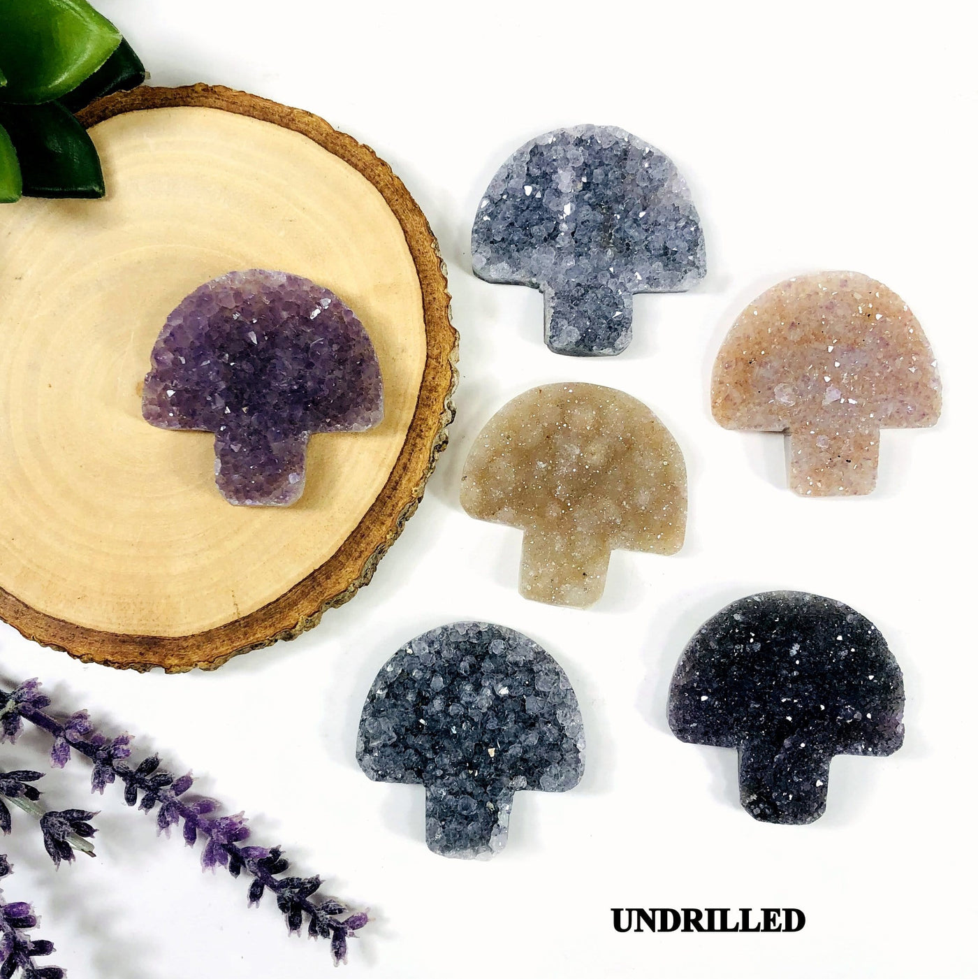 6 undrilled druzy mushroom cabochons with decorations in the background