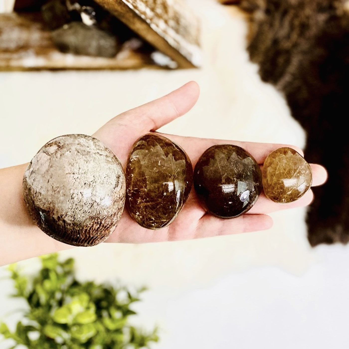 Rutilated Quartz Polished Lens shown in a hand all the assorted sizes next to each other