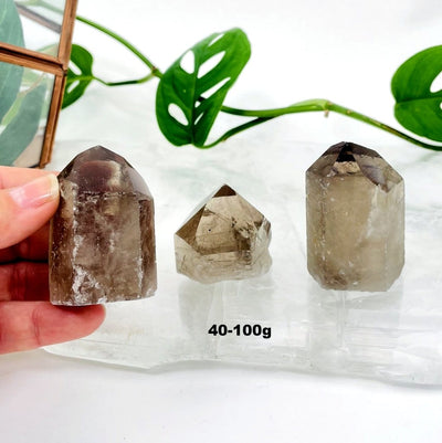 one 40g - 100g smokey quartz polished point in hand for size reference with two others on display for possible variations