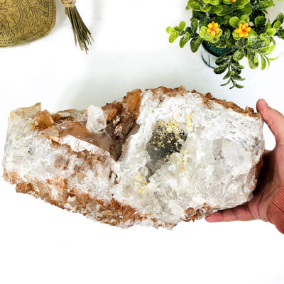 This is a ONE OF A KIND. Tangerine quartz cluster that Measures approx.: 11.50" x 6.75" x 5" held by a hand on a table 