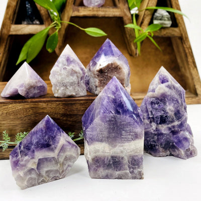 multiple chevron amethyst polished point showing different patterns and sizes 