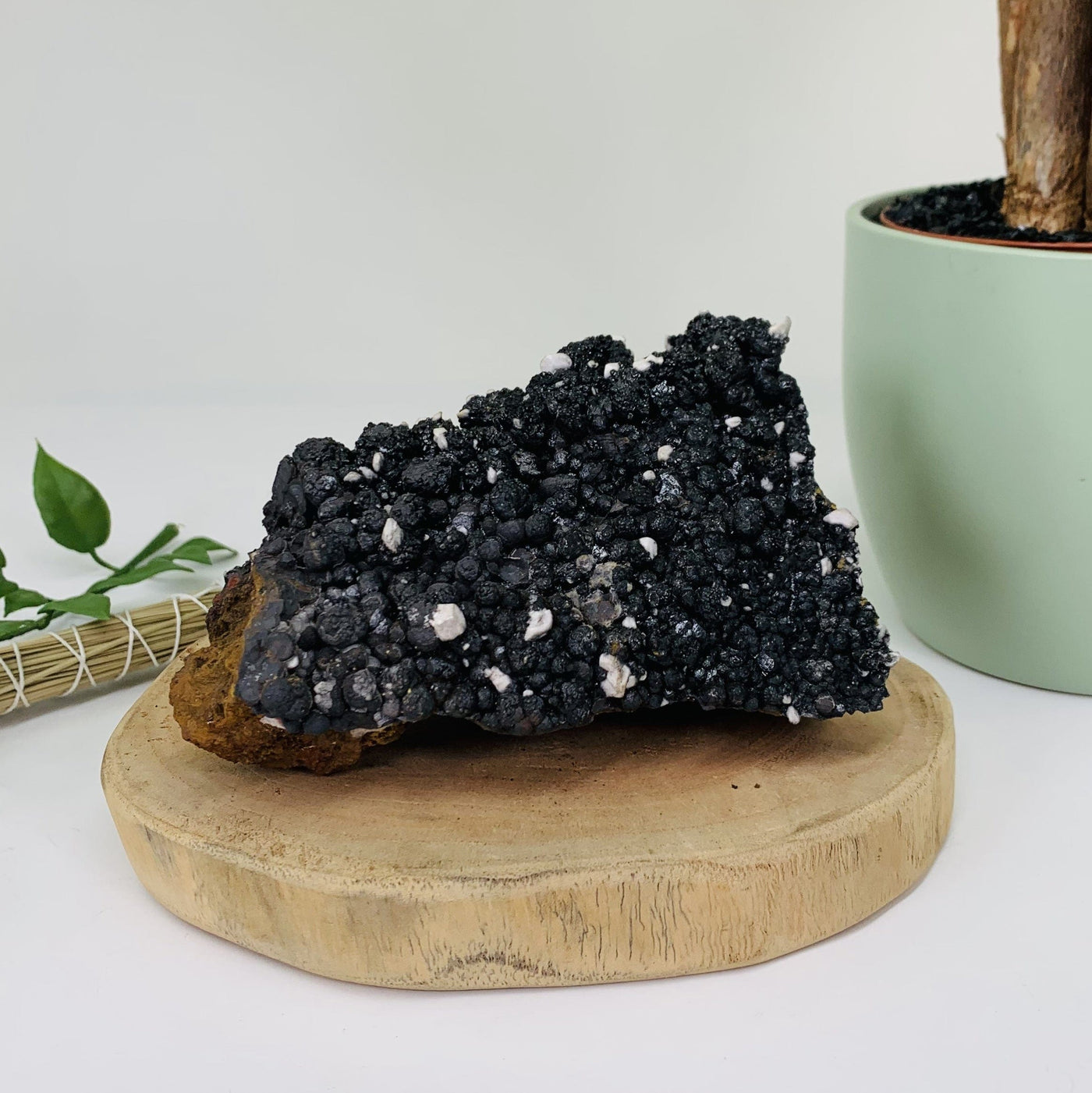 Picture of Goethite cluster laid flat for display,  the cluster is being displayed on a white back ground. Next to a natural plant and sage bundle. 