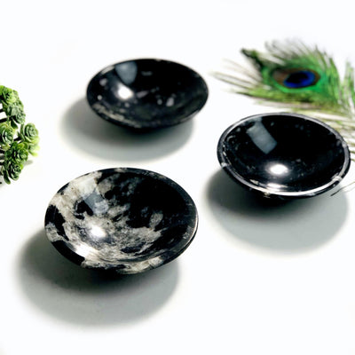 3 Orthoceras Polished Bowls on table