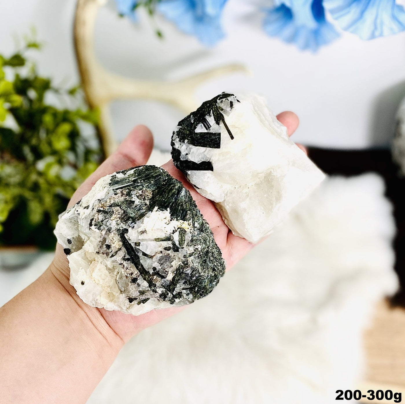 2 piece of Epidote In Quartz Chunk in hand showing the weight 200 to 300 grams on white background. 