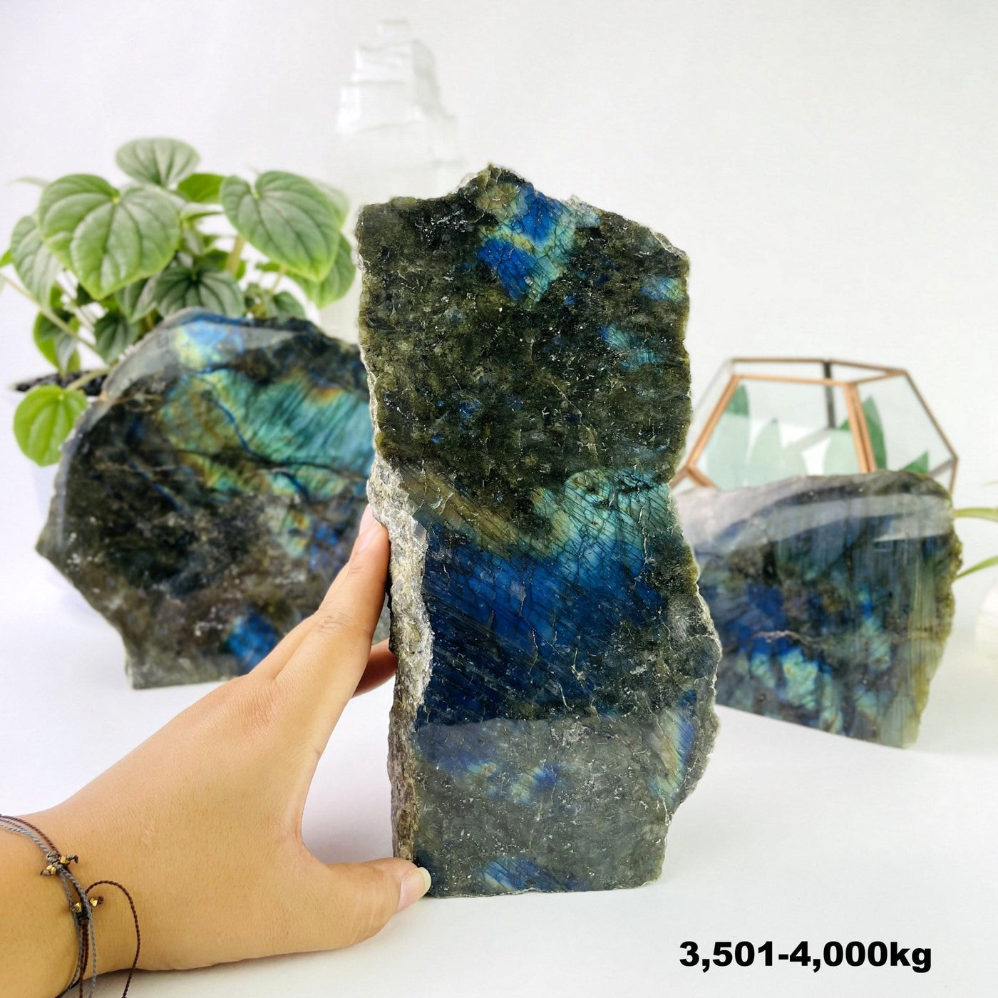 labradorite cut base next to hand for size reference weight  in 3501-4000kg