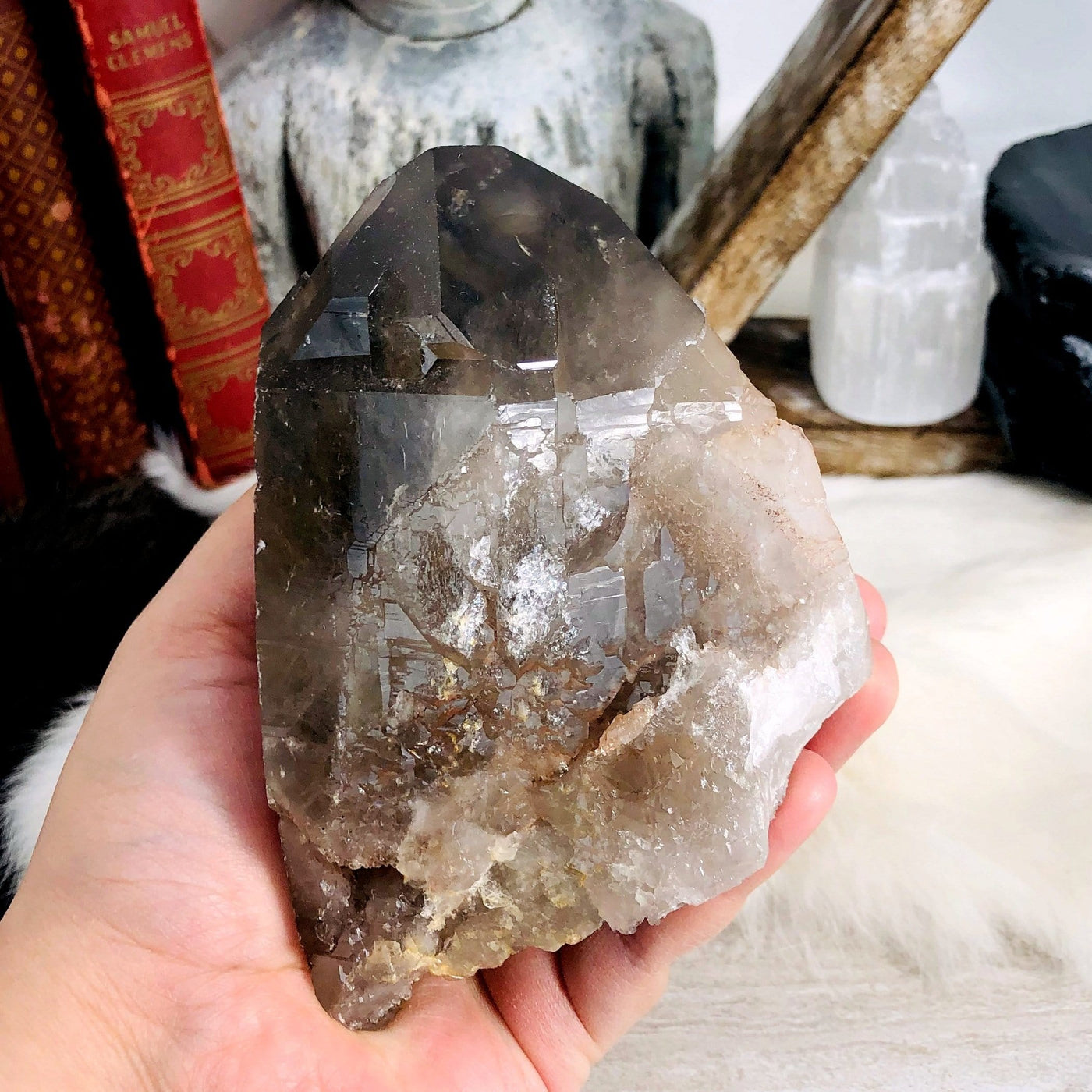 smokey quartz natural point in hand for size reference in front of backdrop