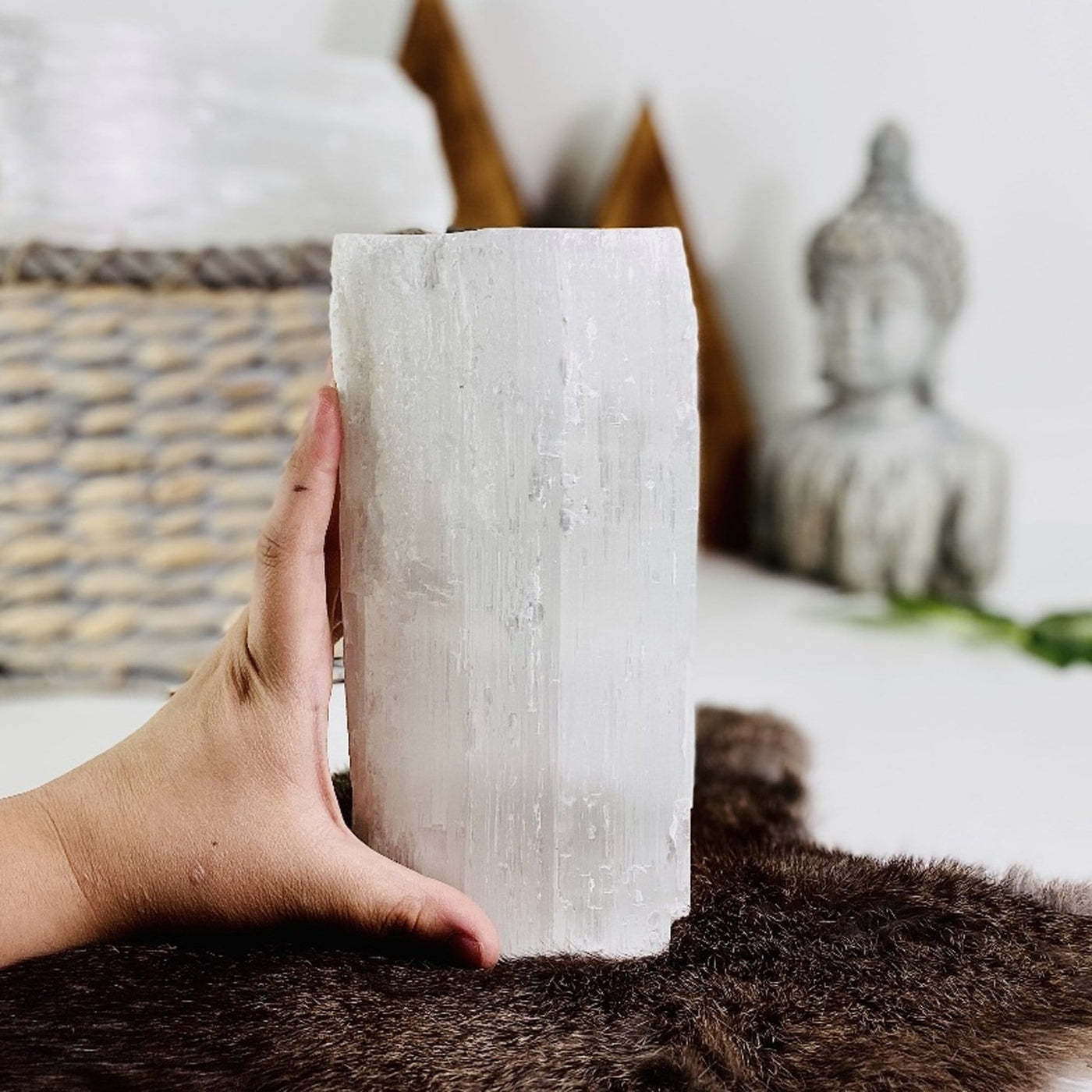 large selenite log in hand for size reference