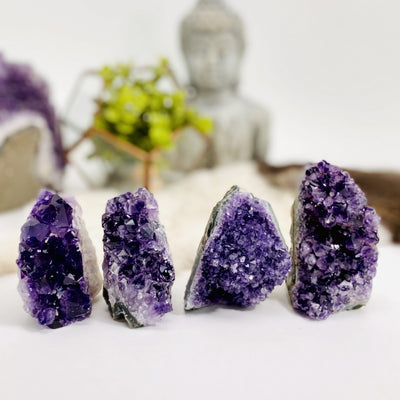 multiple 1/2 lb -1 lb Amethyst Cluster Geode Crystal Cut Bases displayed to show various formations and color hues 