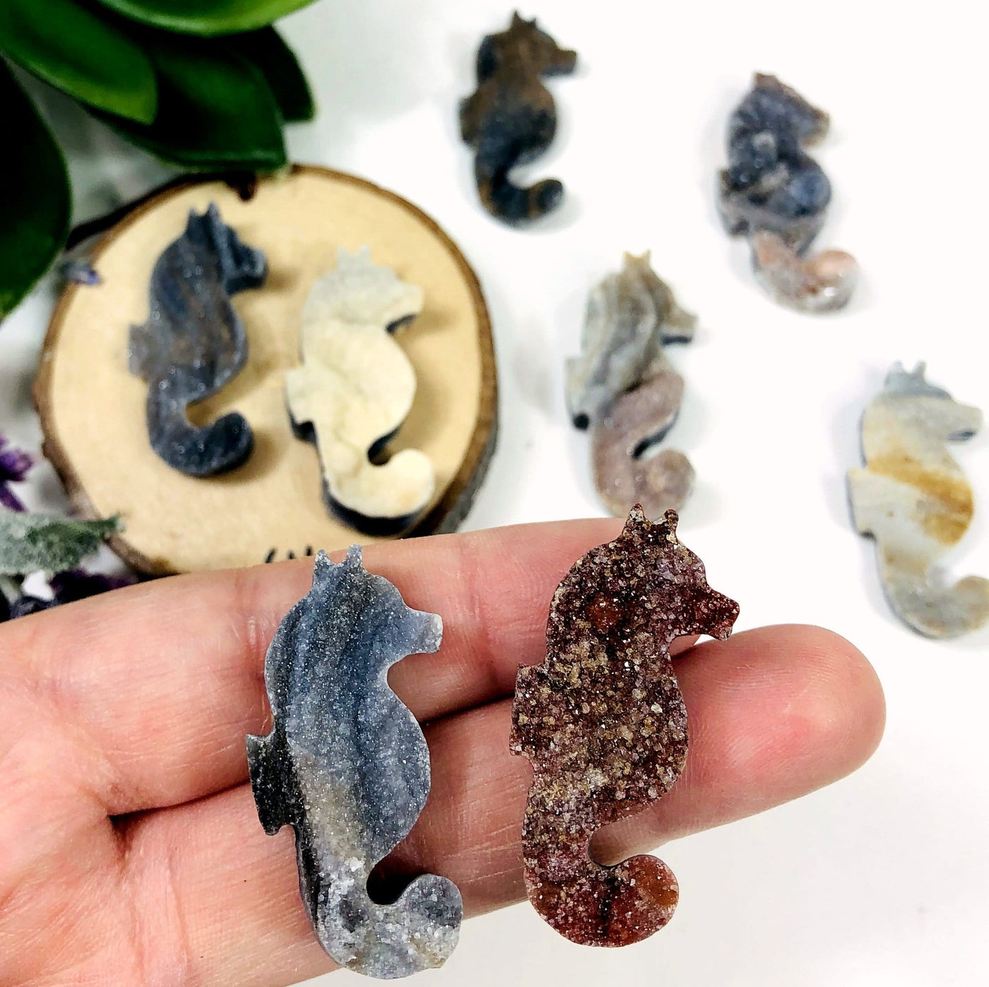 chalcedony druzy seahorse in a hand