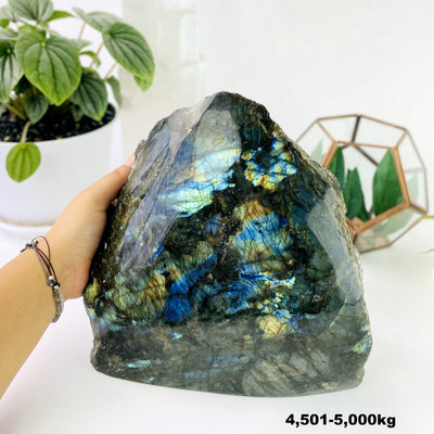 labradorite cut base next to hand for size reference weight in 4501-5000kg