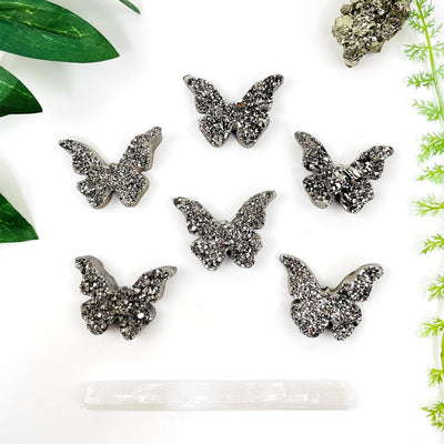 multiple Platinum Titanium Druzy Butterfly Cabochons on white background to show various formation druzies on each butterfly