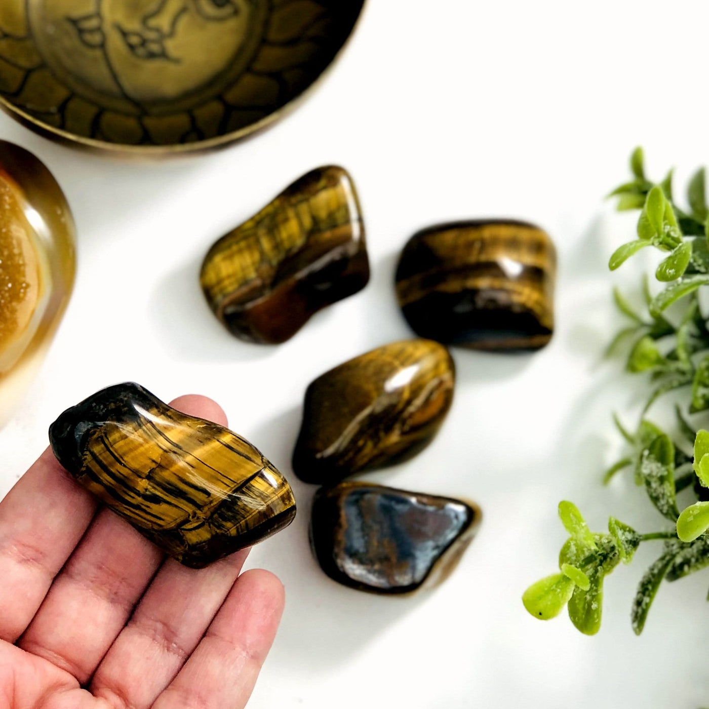 Hand holding tiger eye stone for size reference 