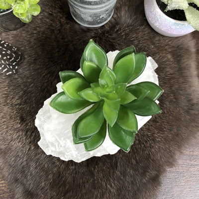 overhead view of selenite log candle holder with succulent (not included with purchase) 