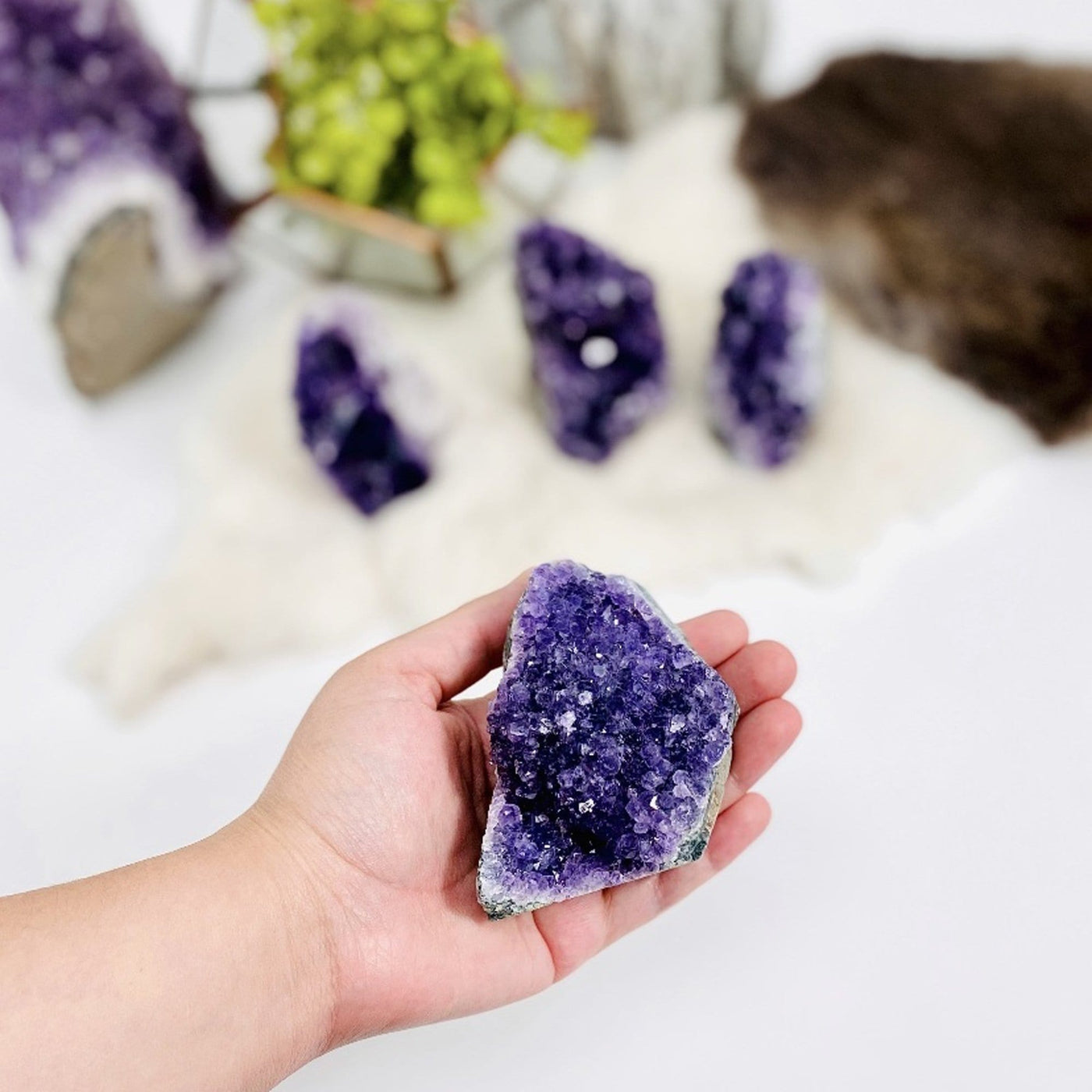 1/2 lb Amethyst Cluster Geode Crystal Cut Base in hand for size reference
