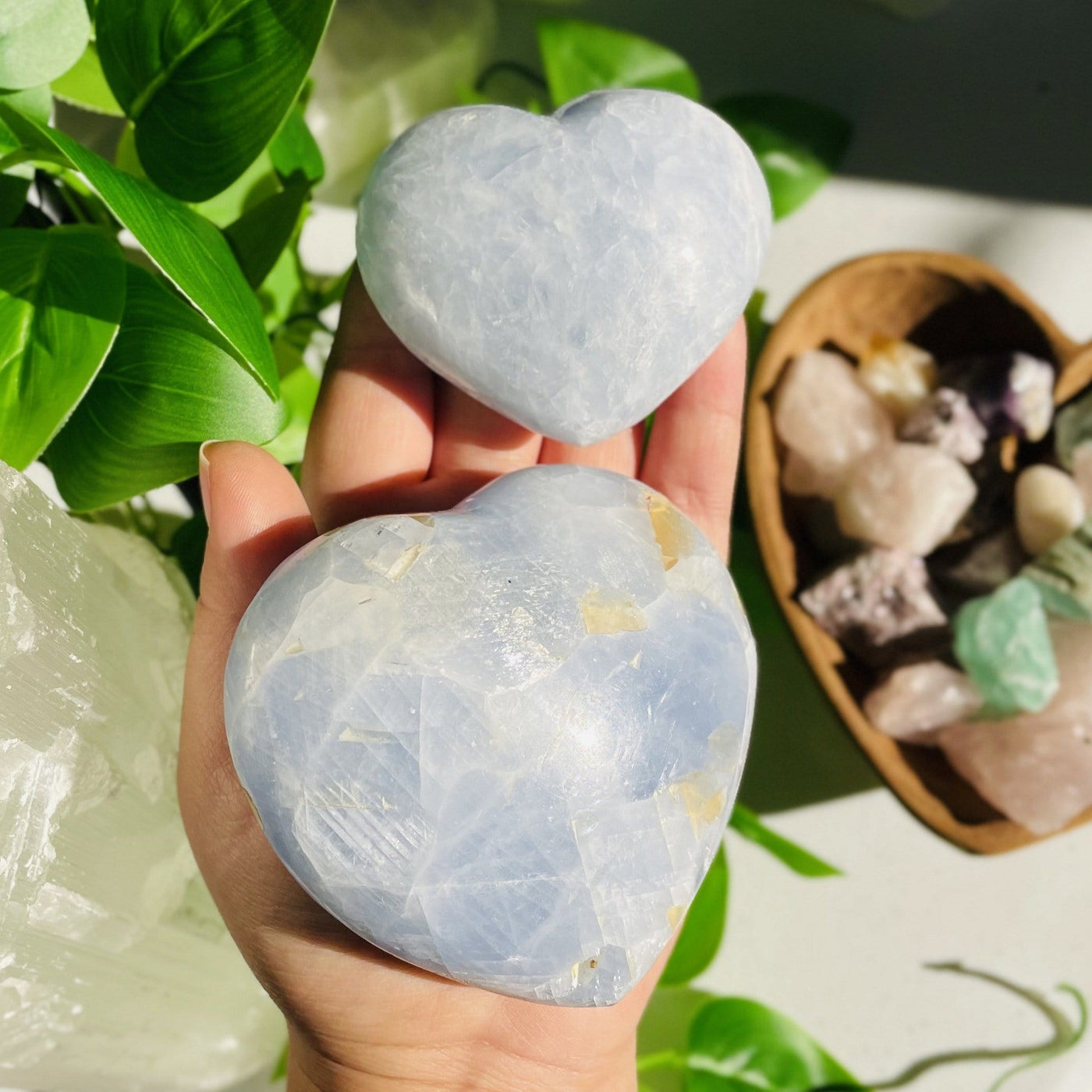 Blue Calcite Hearts in a hand for size reference showing small and large one