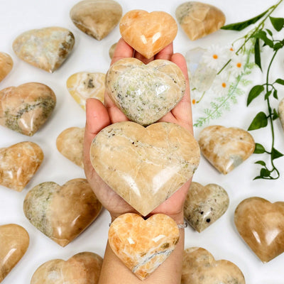 orchid calcite hearts in hand showing different sizes