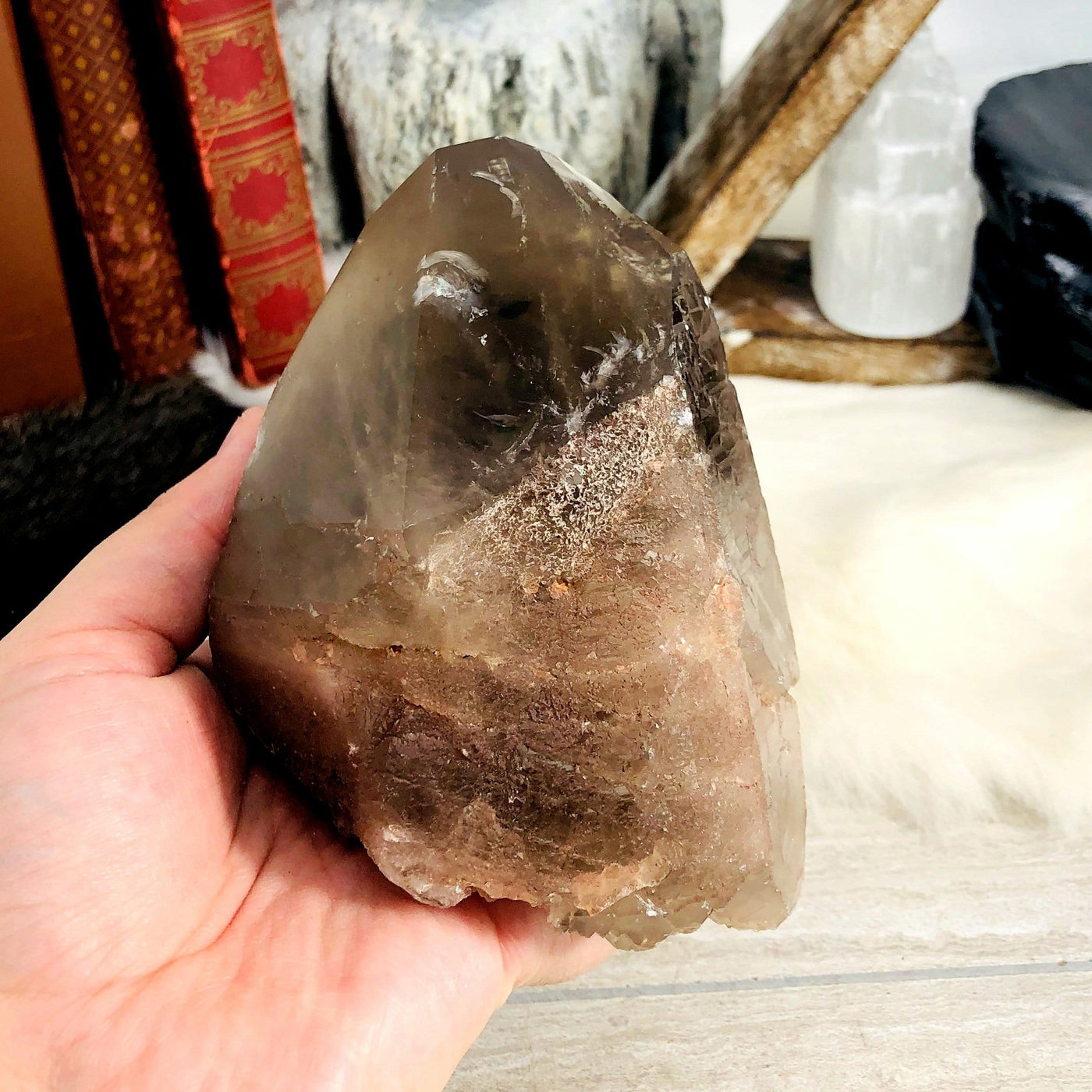 back view of smokey quartz natural point in hand in front of backdrop