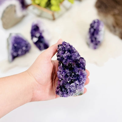 1 lb Amethyst Cluster Geode Crystal Cut Base in hand for size reference
